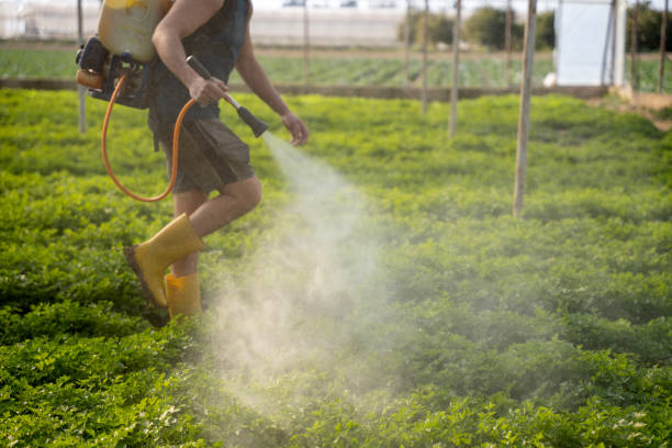 Best Pest Prevention Services  in Fountain Green, UT
