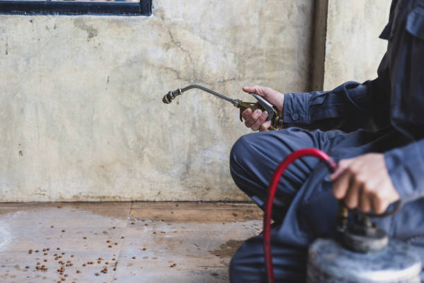 Best Best Pest Control Companies  in Fountain Green, UT